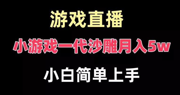 玩小游戏一代沙雕月入5w,爆裂变现,快速拿结果,高级保姆式教学【揭秘】