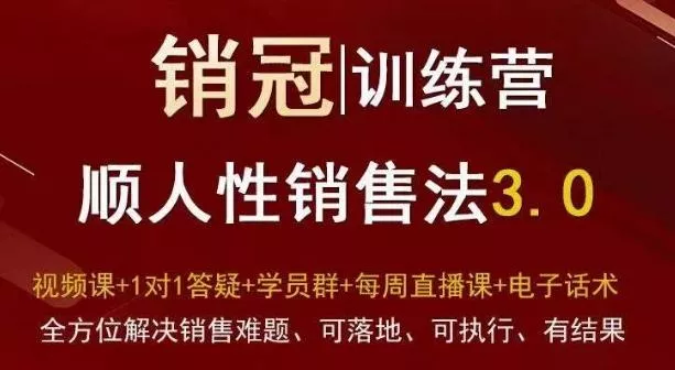 爆款!销冠训练营3.0之顺人性销售法,全方位解决销售难题、可落地、可执行、有结果